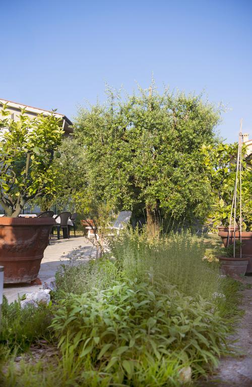 Dolce Sosta Hotel Lucca Eksteriør billede